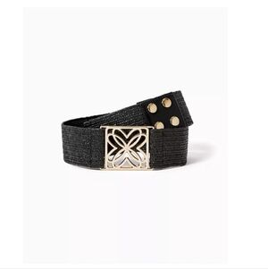 Elegant Black Belt with Gold Buckle